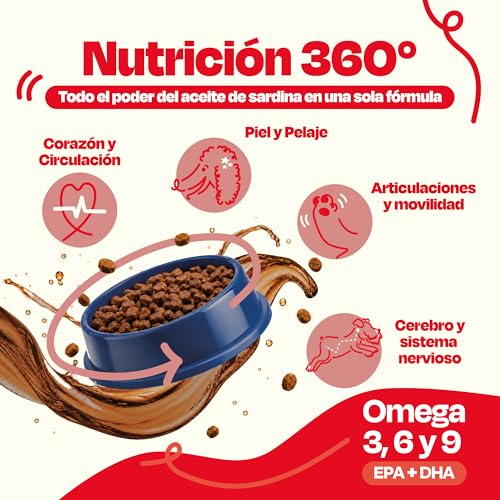Dogelthy Pure Sardine Oil 450 ml. Aceite de Sardina con Omega 3 para Perro. 300 MG de EPA + DHA por Dosis. Suplemento de Aceite de Pescado para Perro. para Croquetas o Dieta Barf.