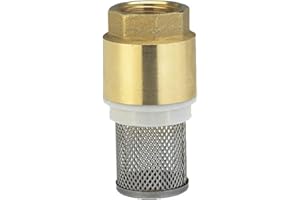 SEIWEI Brass Foot Valve, Water Pump Bottom Valve, Check Valve with Filter, Foot Valve Filter No Return Valve Foot Valve Strainer-DN15-1/2"
