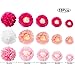 WILLBOND 24 Pcs Paper Fans Decoration Set, Including 12 Tissue Flowers, 6 Hanging Fans Garlands Decoration, 6 Paper Poms Ball Decor Flowers Kit for Christmas Wedding Birthday Baby Shower(Rose Pink)