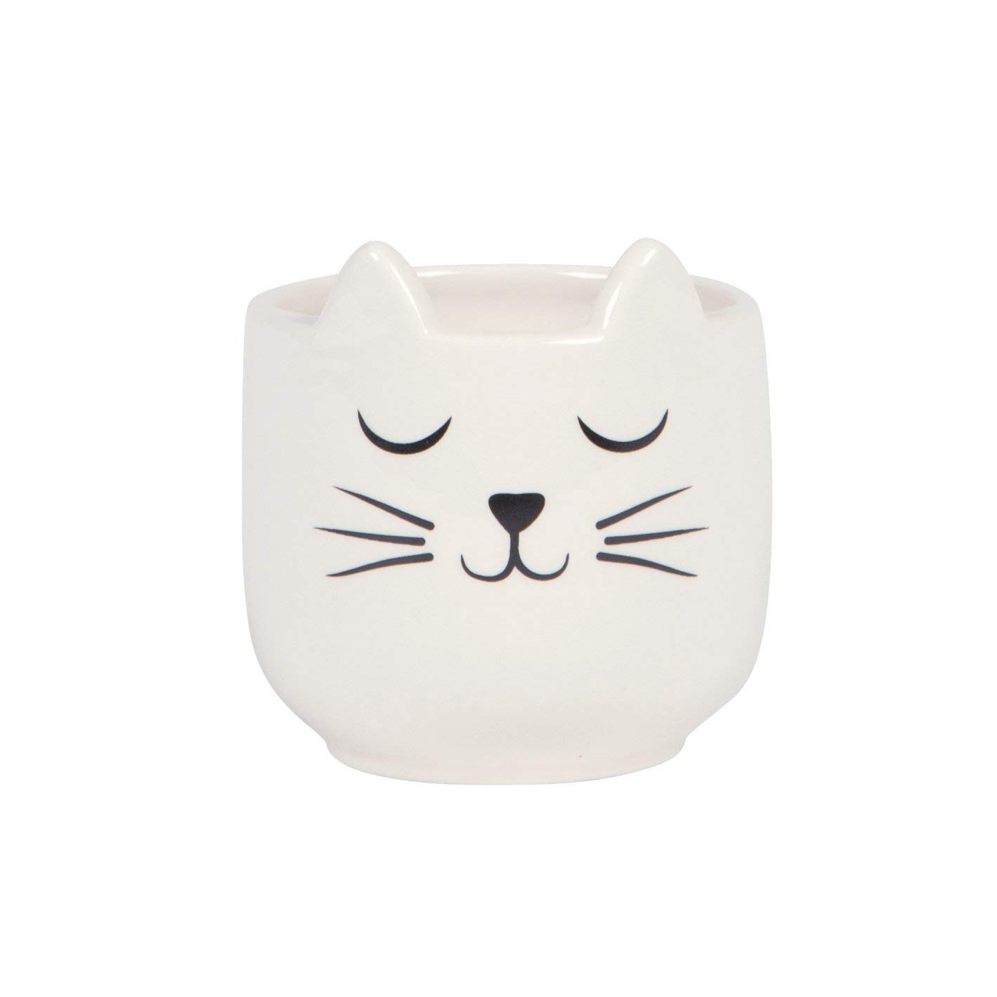 Sass & Belle Mini Cat's Whiskers White Planter