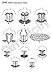 Simplicity 1345 Women's Shrug and Corset Sewing Pattern by Andrea Schewe, Sizes 6-14