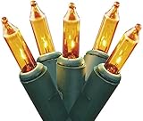 Set of 50 Gold Mini Christmas Lights - Green Wire