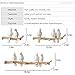 WINGOFFLY® Decorative Birds On Tree Branch Wall Mounted Coat Hanger for Coats/Hats/Keys/Towels(Three Birds)