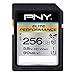 PNY Elite Performance 256GB High Speed SDXC Class 10 UHS-I, U1 Up to 90MB/sec Flash Card - P-SDX256U1H-GE