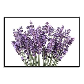 signwin Framed Canvas Wall Art Purple Lavender Canvas...