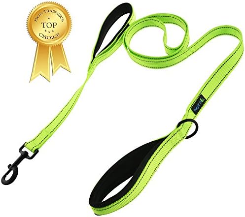 Wagtime Club Soft &Thick Dual Handle 6FT Dog Leash, Premium Nylon Double Padded Handles for Medium, Large or XLarge Dog (Reflective Neon Green)
