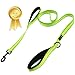 Wagtime Club Double Handle Dog Leash, 6ft Long Heavy Duty Dog Leash with Paded Traffic Handles for Extral Control and Training, Dual Handles Leads, Large Medium Small Dogs (Reflective Neon Green)