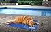 WINSEE Pet Cooling Gel Pad, Self Cooling Mat Comfort Non-Toxic Cold Mat for Dogs Cats 35.4 x 19.7 inch Large (Blue)