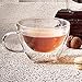 Luigi Bormioli Thermic Glass 13 oz Cappuccino Mug (Set Of 2) : Double Wall Borosilicate Glass, Handmade, Thermal Shock Resistant, Microwave & Dishwasher Safe, Fine Quality