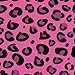 Lunch Box, Wildkin Lunch Box, Insulated, Moisture Resistant, and Easy to Clean with Helpful Extras for Quick and Simple Organization, Ages 3+, Perfect for Kids or On-The-Go Parents – Pink Leopard