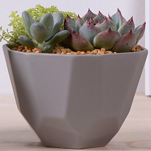 Succulent Pot, Herb Planter or Cactus Pot - Minimalist Beveled Pot - 4.9 x 3.3 x 6 inches - Indoor Outdoor Planter by Gander Lane - Grey