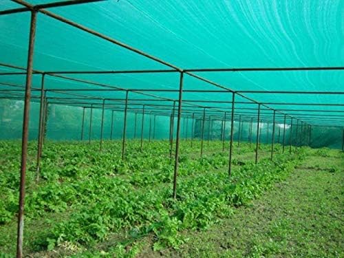 YUVAGREEN Gardening Shadenet 75% Shade 3X25 Meters Role Full Green Thick and UV Treated Long Life YU_09