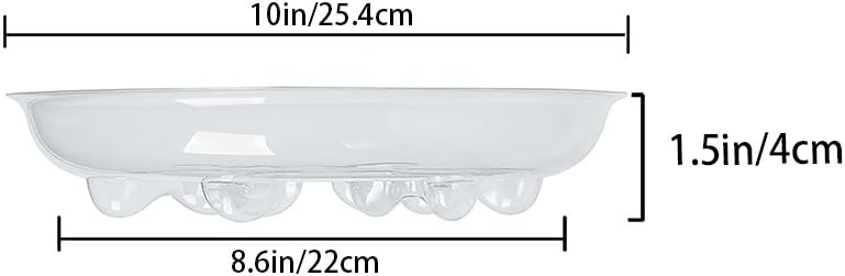 Idyllize 5 Pieces of 10 inch Clear Thick Plastic Heavy Duty Sturdy Plant Saucer Drip Trays for pots : Garden & Outdoor