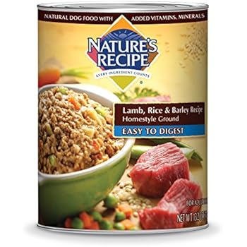 Nature's Recipe Canned Dog Food for Adult Dog, Easy to