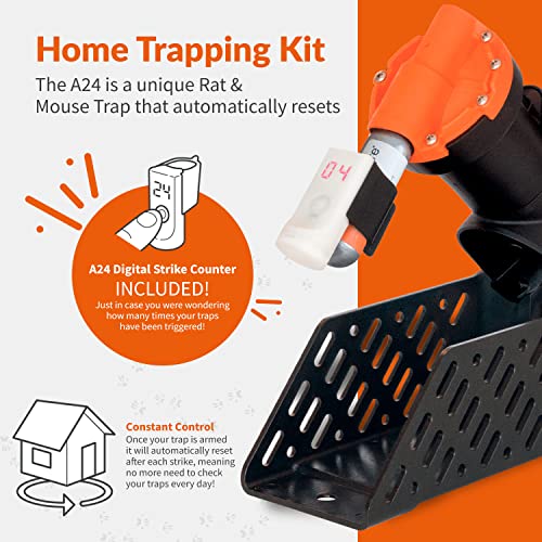 Goodnature Home Trapping Kit, Humane A24 Rat & Mouse Trap with Digital