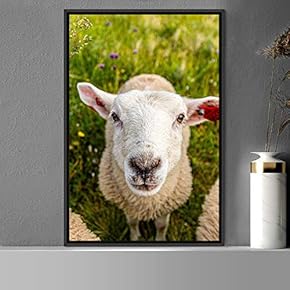signwin Framed Canvas Wall Art Sheep Animals Expressive...