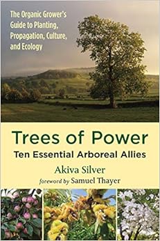 Book's Cover of Silver, A: Trees of Power: Ten Essential Arboreal Allies (Inglés) Tapa blanda – Ilustrado, 18 marzo 2019