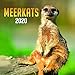 Wildlife Calendar - Calendars 2019 - 2020 Wall Calendar - Photo Calendar - Meerkats Wall Calendar by by 