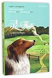 Lassie Come-Home (Chinese Edition)