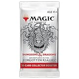 Magic The Gathering Adventures in The Forgotten