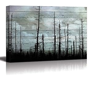 Silhouette of Trees on a Cloudy Day with...