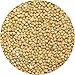 Wagner's 50 lb White Proso Millet Wild Bird Food