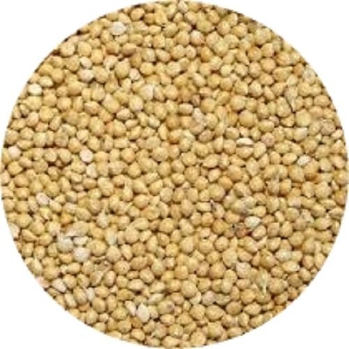 Wagner's 50 lb White Proso Millet Wild Bird Food