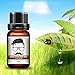 Moustache Oil,ROMANTIC BEAR Beard Oil Conditioner For Men Natural Soften & Strengthens Growth Care Oil 10ml