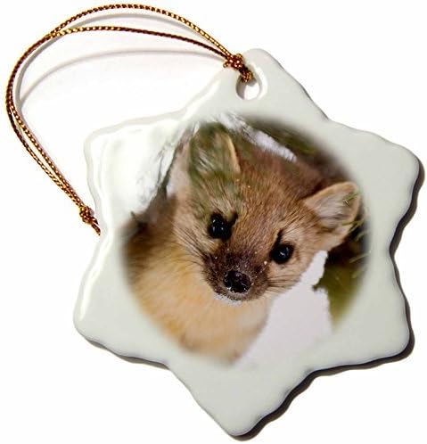 Quietee American Marten in lodgepole Pine Tree. Harriman SP, Idaho, USA - Snowflake Ornament, Porcelain, 3-inch