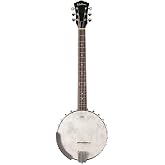 Washburn Americana Series B6-A 6-string Open Back Banjo