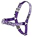 PetSafe Bling Easy Walk Harness - Reduces Pulling & Improves Leash Manners - Front Leash Attachment - Custom Fit Straps - No-Choke Walking Gear - Large - Purple