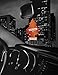 Car Freshner Little Trees Copper Canyon (6-Pack)