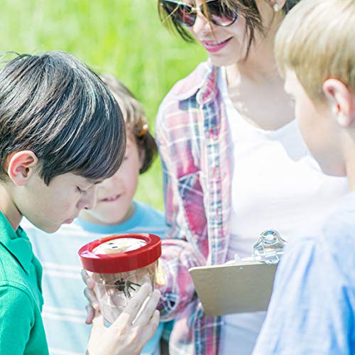 XIYITOY Best Gifts for Teen Girl, Bug Viewer Box with 8X Magnifier for Kids Toys for 3-12 Year Old Girls Boys View and Collect Insects Up Close (Red) - Thumbnail 3
