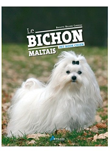 Le  bichon maltais