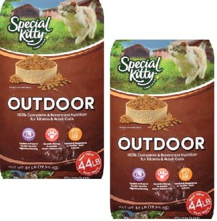 outdoor cat food