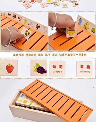 Montessori Early Kids Toys Educational Wooden Creature 3d Puzzles for Children Intelligence Learning Puzzle Brinquedos