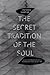 The Secret Tradition of the Soul by Patrick Harpur