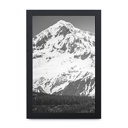 EcoHome 11x17 Picture Frame - Black; Poster