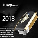 db Infinity: Concealed flip Key FOB 510 Thred Variable Voltage Premium Oil Pen| High Performance Baterry| Tank Not Included (Gold)