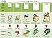 Simple Ecology Reusable Grocery Produce Shopping and Storage Bags, Organic Cotton Mesh, Set of 6 (2 ea. of XL, L, M)