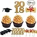 30pcs Graduate Cupcake Topper 2018 Graduation Party Supplies