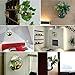 kathson Home Decoration Pot Wall Hanging Mount Bubble Aquarium Bowl Fish Tank Aquarium(White,7.6in H:3.6in) (White)