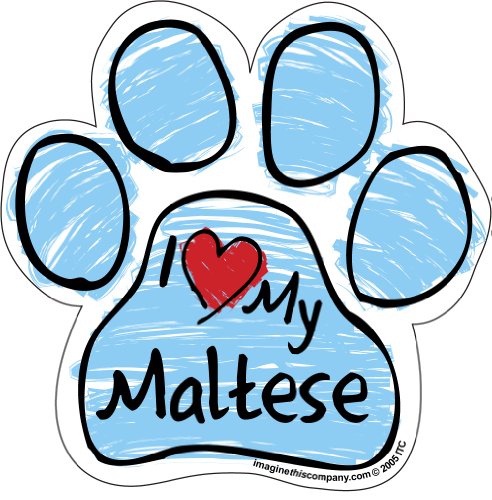 Imagine This Scribble Paw Magnet, Maltese