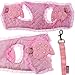 Adorable Cat Dog Kitty Puppy Safety Walking Vest Harness Leash Set Wings Costume Lace Peals (Pink, Medium)