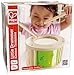 Hape Small Wooden Handheld Mr. Tambourine Early Melodies Kid Toy Musical Instrument with 3 Cymbal Pairs for Preschool Toddlers