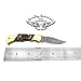 Best.Buy.Damascus1 Multi Color Wood 5.5'' Custom Handmade Damascus Steel Double Brass Bloster with Sharpening Rod Folding Pocket Knife Back Lock Prime Quality Come with Leather Sheath