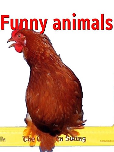 Clip: Funny animals