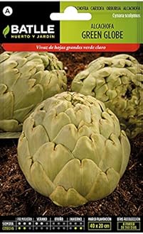 Amazon.es: Semillas Batlle: Semillas Hortícolas