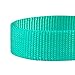Blueberry Pet Essentials X-Small Dog Collar in Emerald | Adjustable & Eco-Friendly Durable Nylon Strap | Classic Collar for X-Small Dogs, Boy & Girl Pets