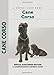 Cane Corso (Comprehensive Owner's Guide)